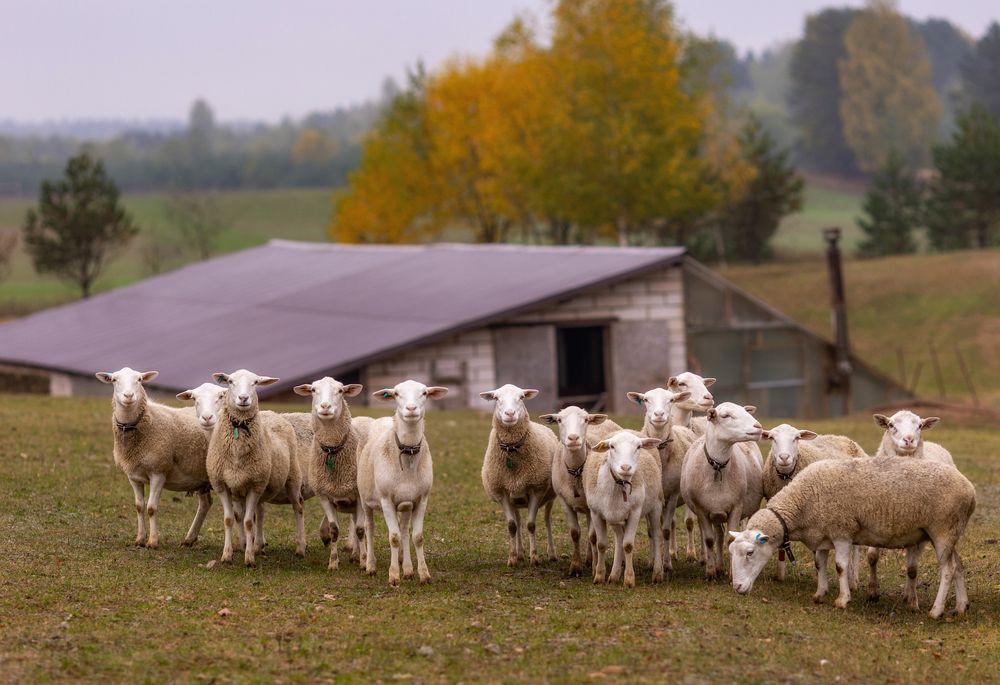 Photograph by Перепёлкина Анастасия