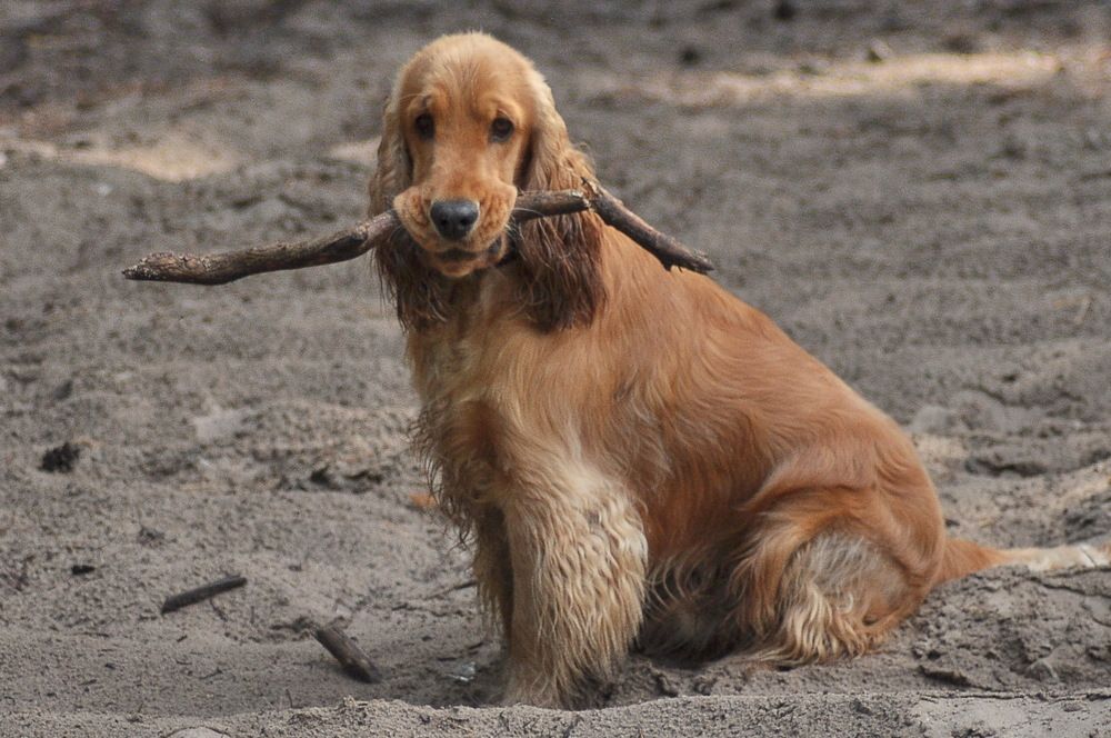 Photograph by Николай Леухин