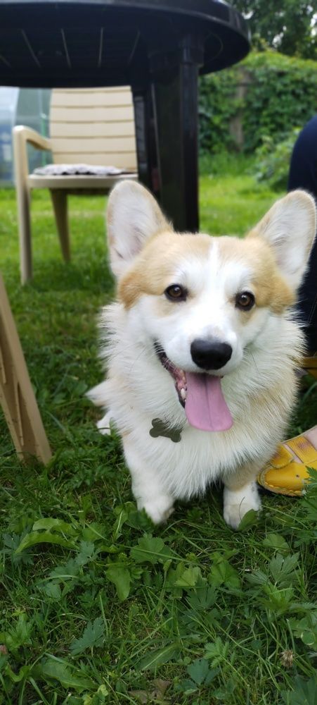 Photograph by Дарина Макарова