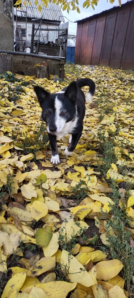 Photograph by Дарина Макарова