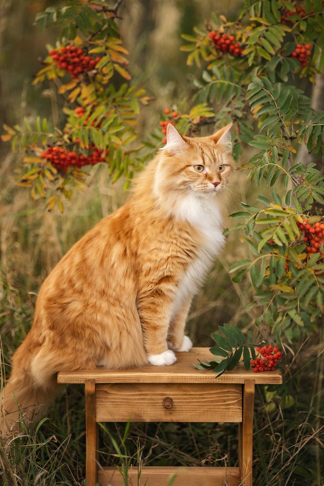 Photograph by Елена Косинова