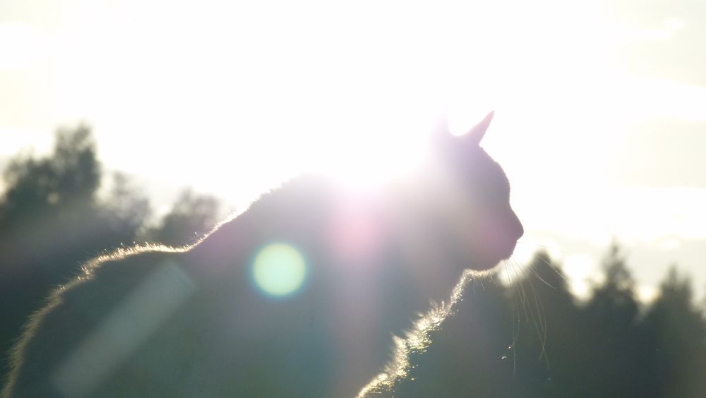 Photograph by Егор Чинарев