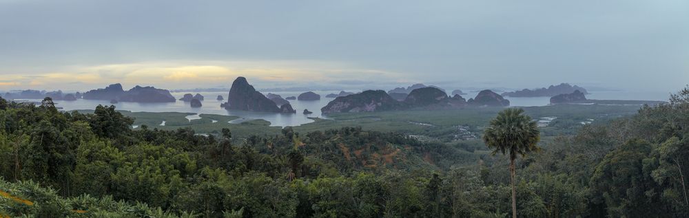 Tai