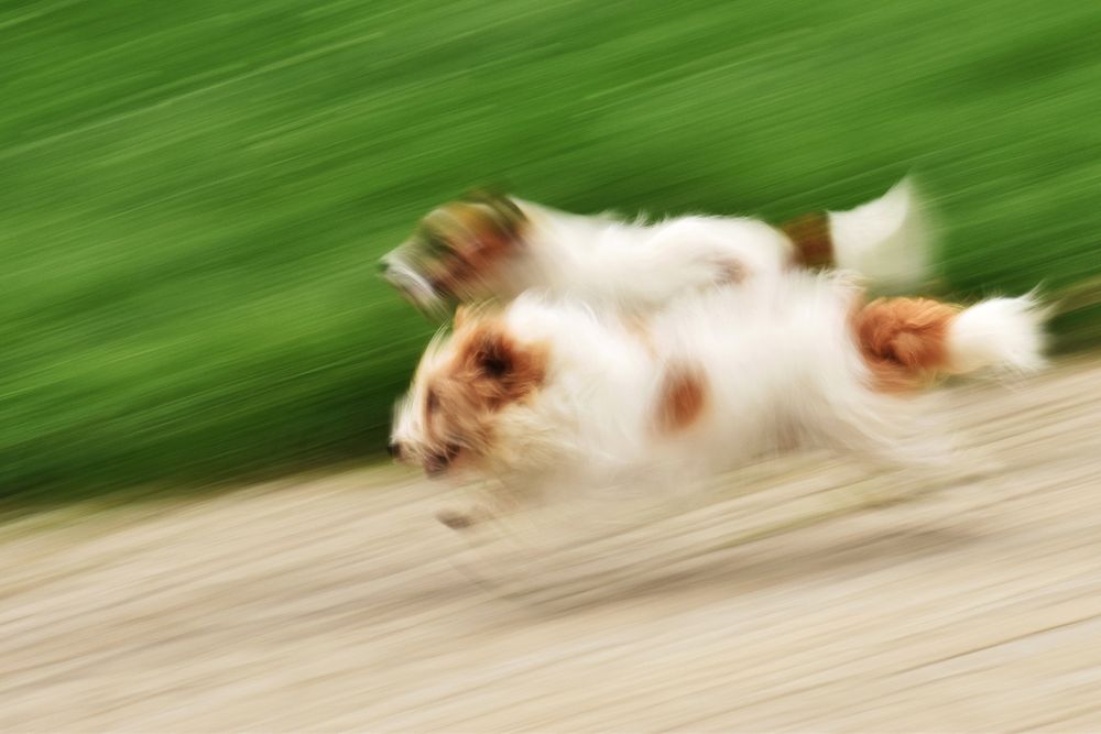 Photograph by Bob Gajdoš