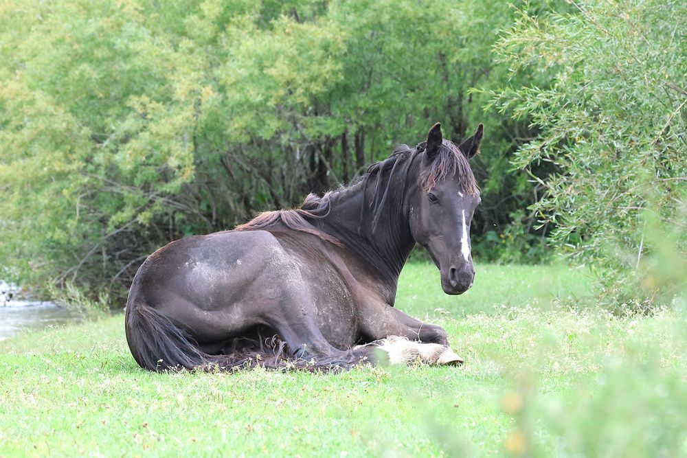 Фотография автора Елена Бобаченко