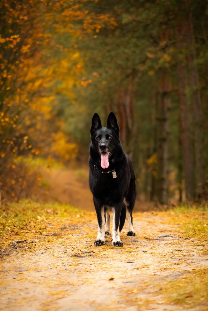 Photograph by Екатерина Степанцева