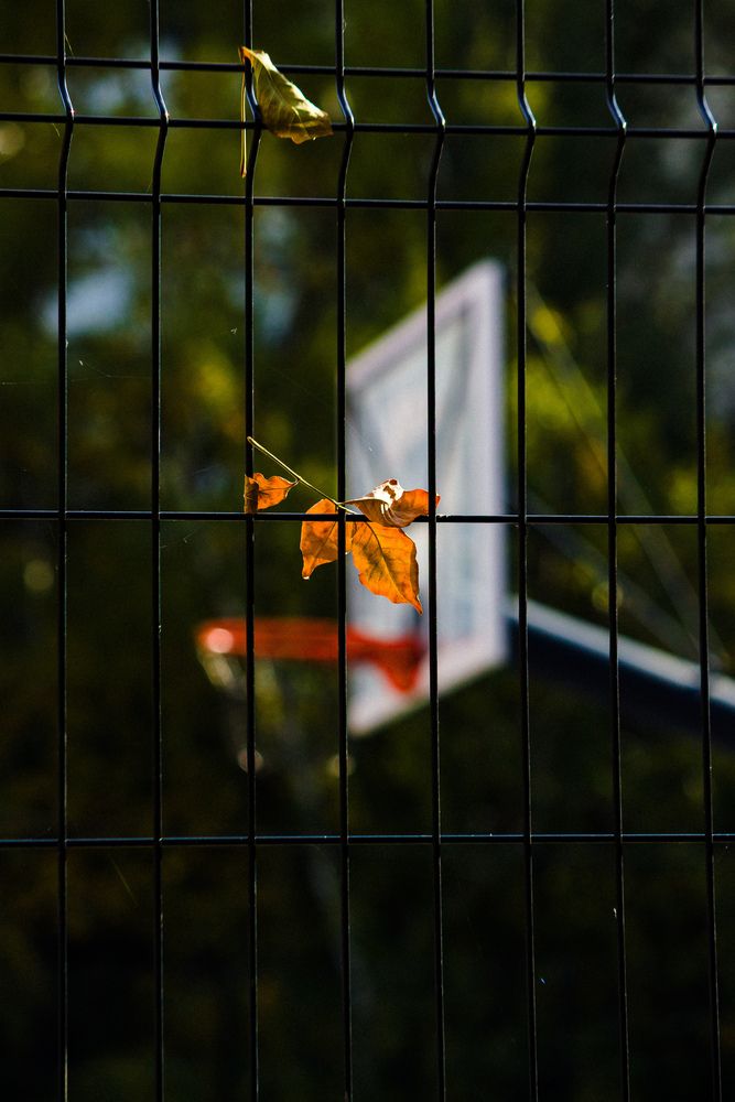 Photograph by Alexander Nosov