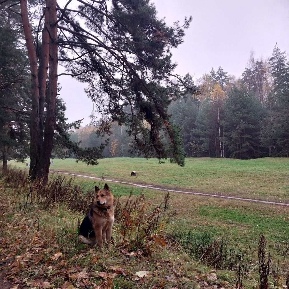 Photograph by Олеся Матвеева