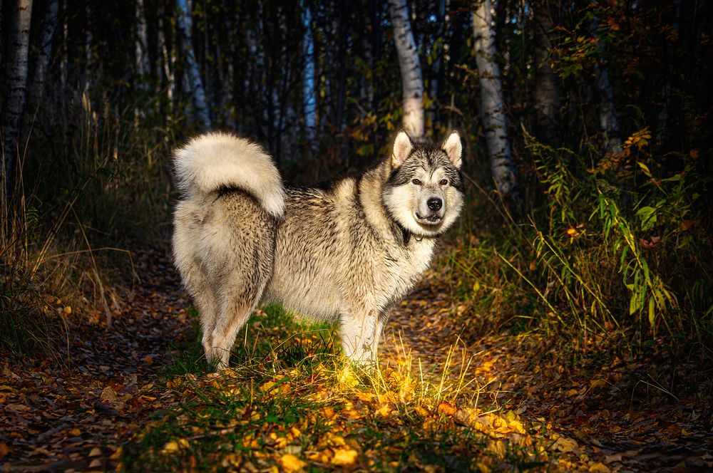 Photograph by Лев Постнов