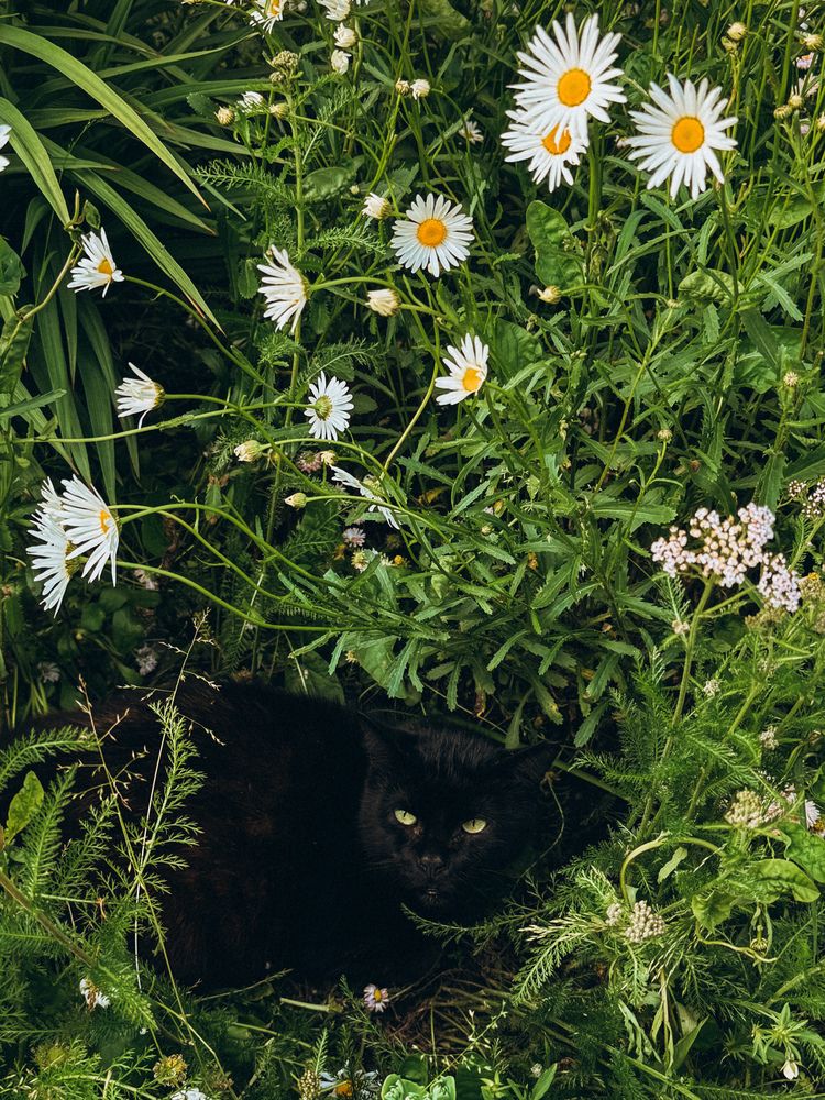 Photograph by Александра Кишикова