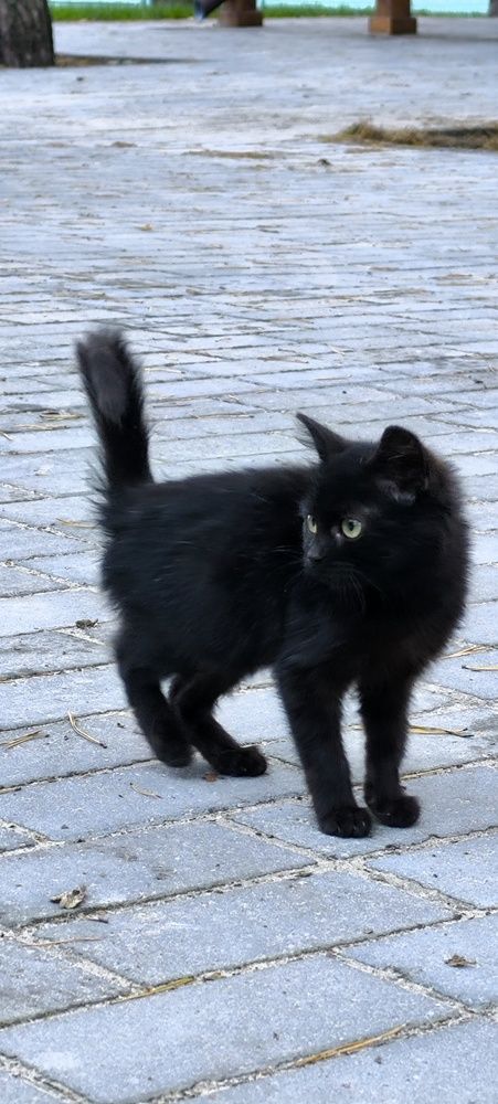 Фотография автора Дмитрий Сугако