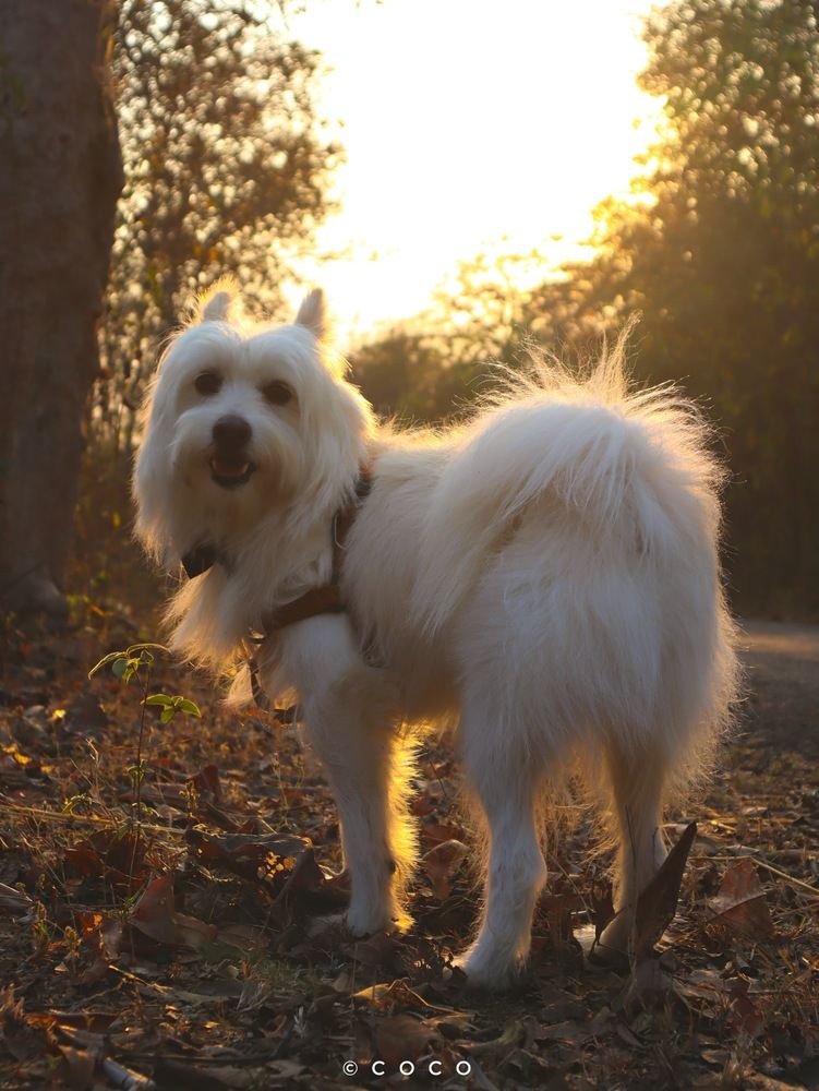 Photograph by Rakesh