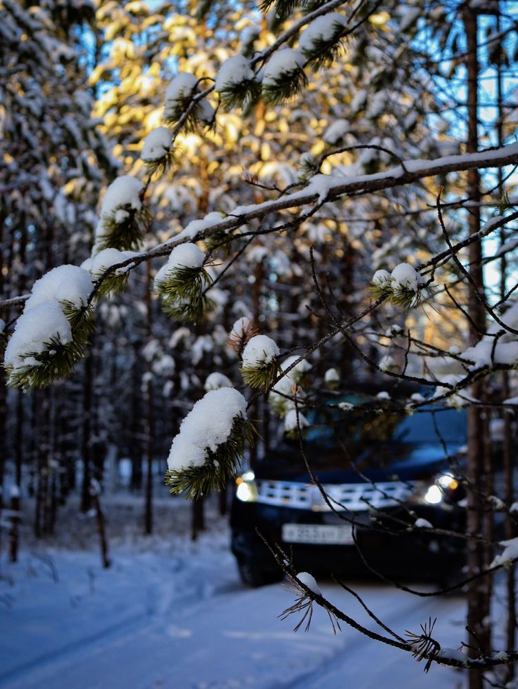 Photograph by Мария Мосина