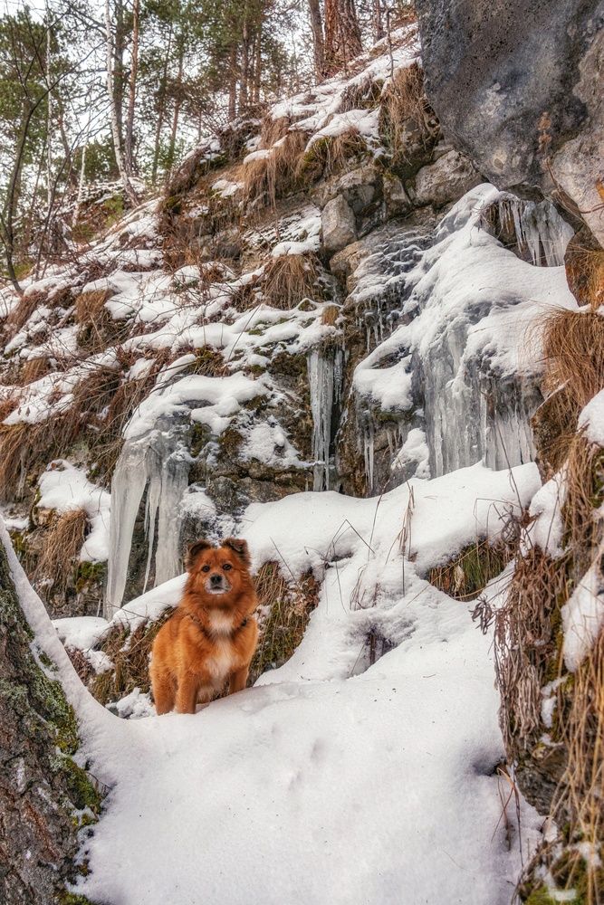Photograph by Анастасия Глазюк