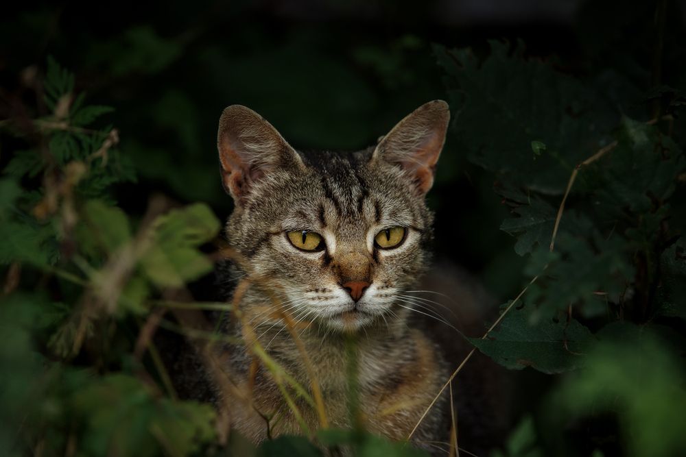 Photograph by Ольга Рябчикова