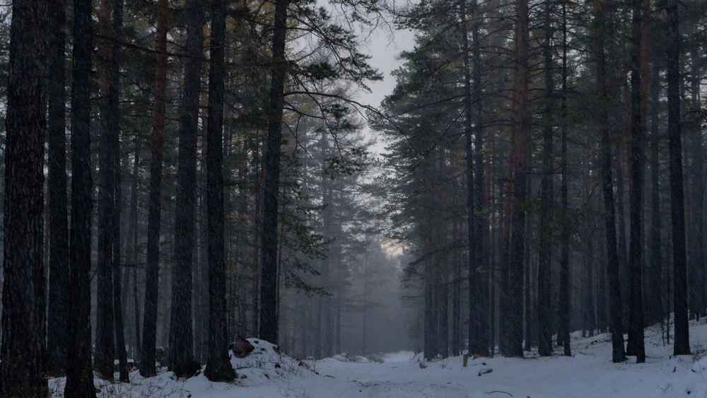 Photograph by Михайлов Юрий Анатольевич
