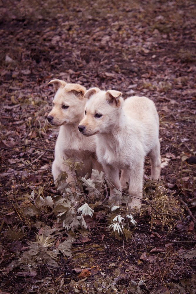 Photograph by Елена Фатьянова