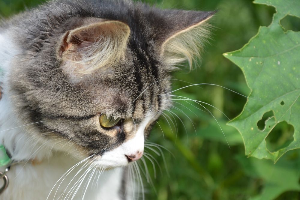 Photograph by Татьяна Кабанец