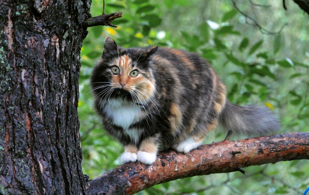 Photograph by sasha yudin