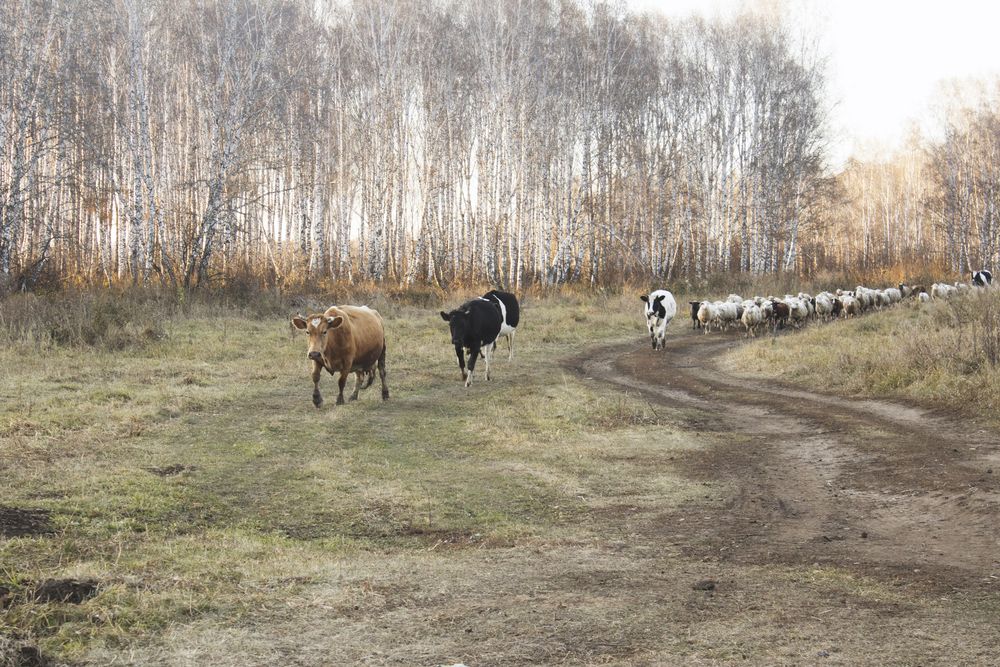 Photograph by Angelina