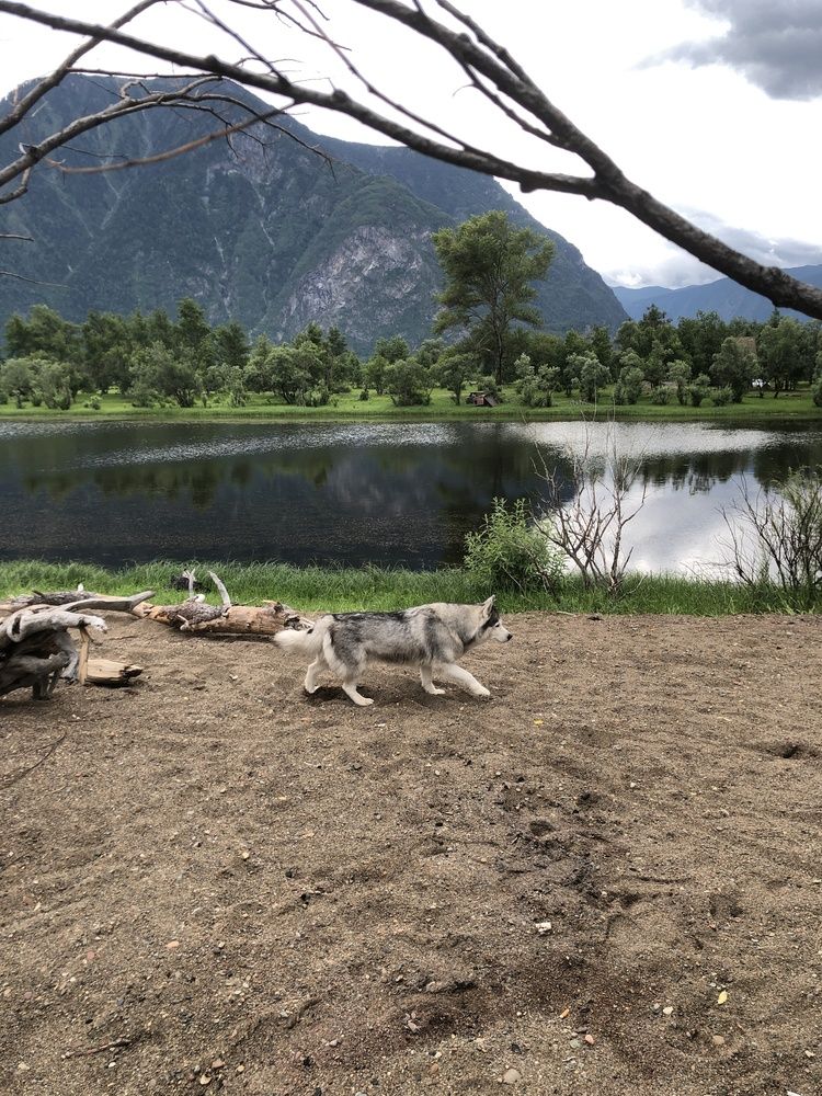 Photograph by Ирина Барышева