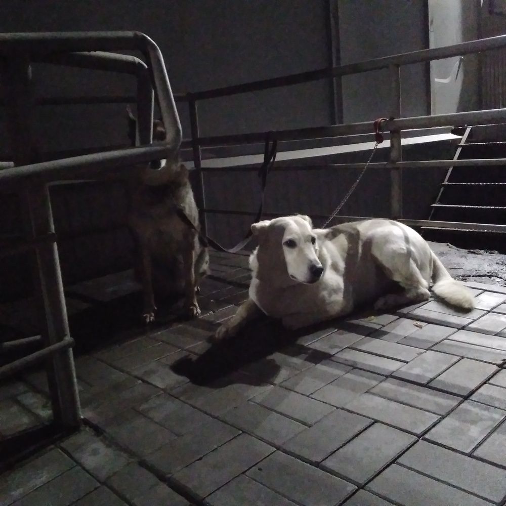 Photograph by Васильева Львовна