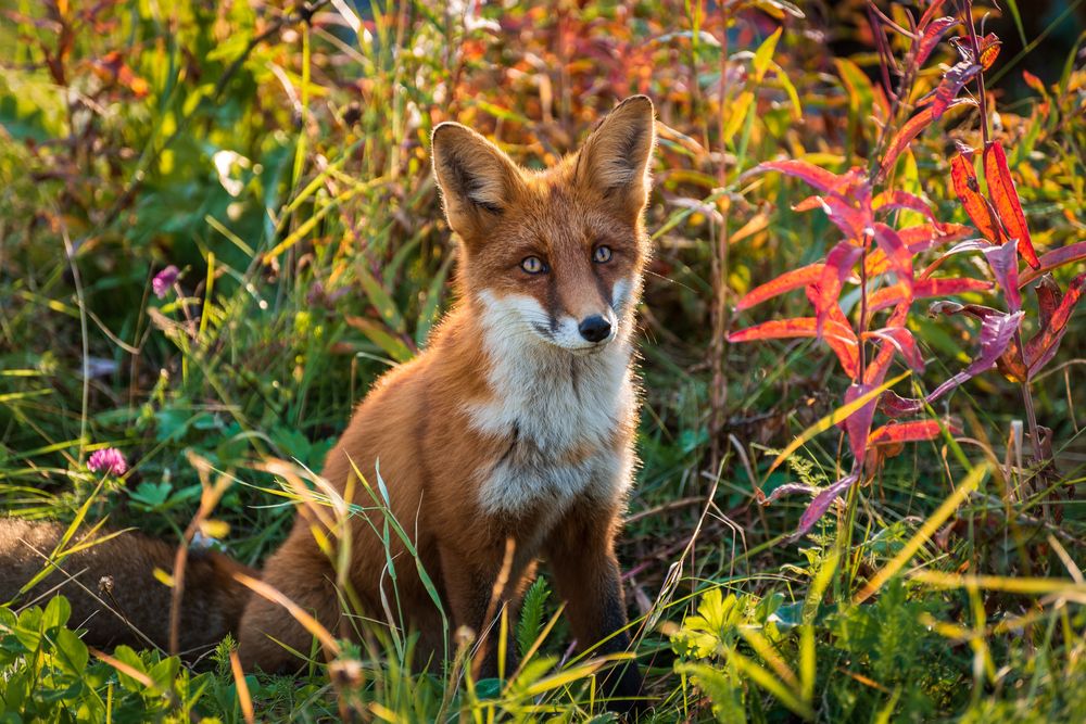 Фотография автора Mika Mgla