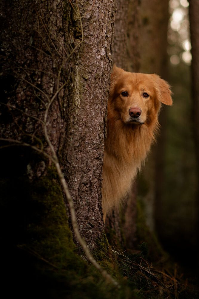 Photograph by Maja Esch