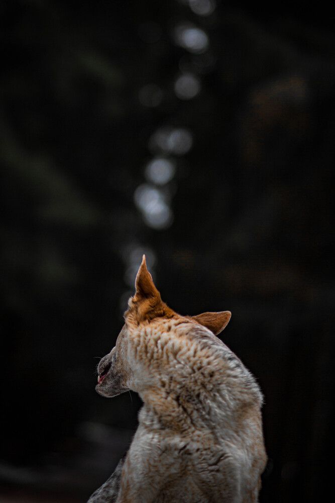 Photograph by Максим Шушкевич