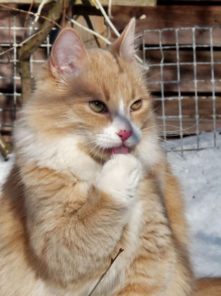 Photograph by Марина