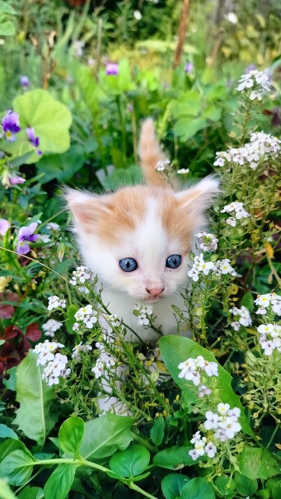 Photograph by Анастасия Горбачева