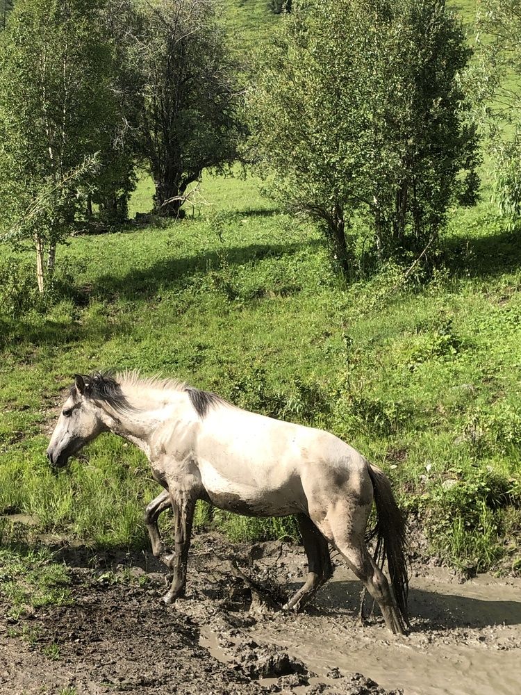 Photograph by Ирина Барышева