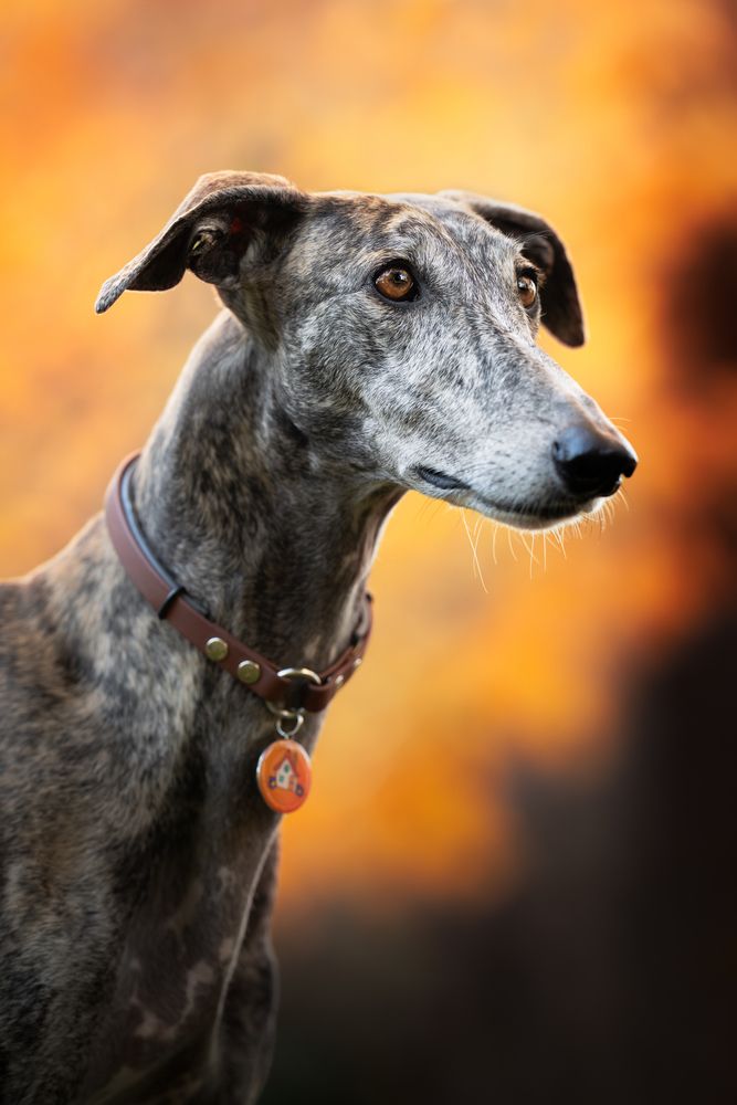 Photograph by ALESSIA ROSSI