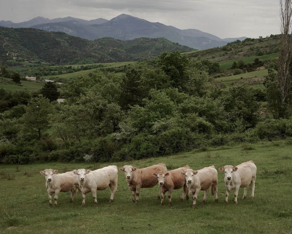 Photograph by Marina Odintsova