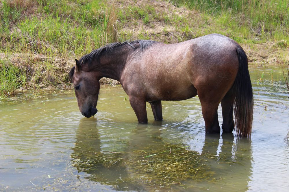 Photograph by Светлана Шубина