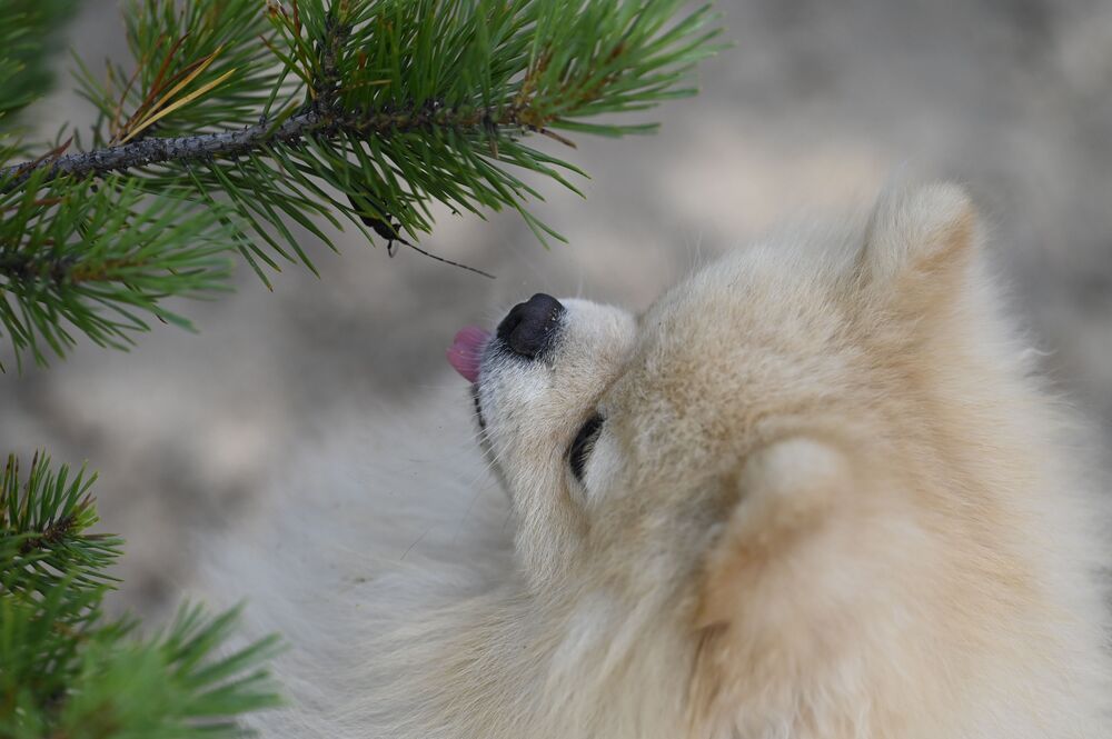 Photograph by Ольга Воронова