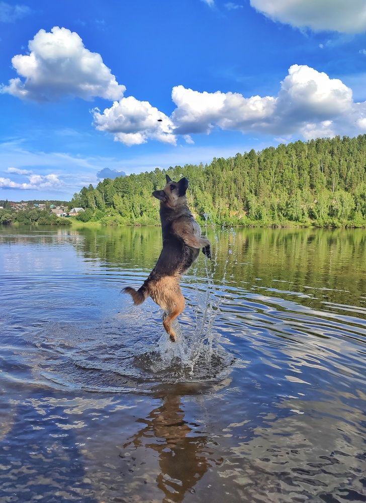 Удачный момент