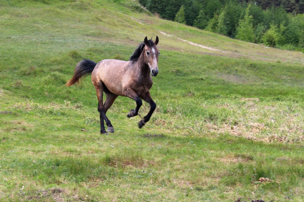 Photograph by Светлана Шубина