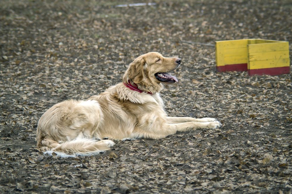 Photograph by Антон Гаврилов