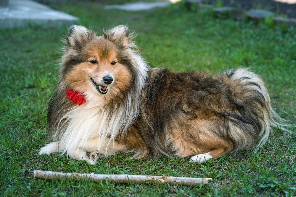 Photograph by Антон Гаврилов