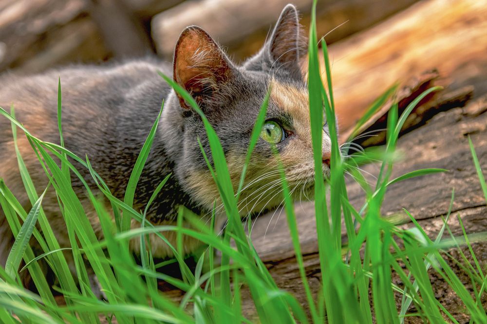 Photograph by Антон Гаврилов