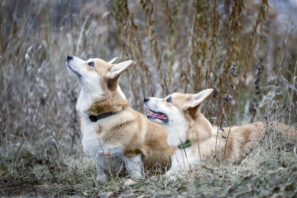 Фотография автора Елена Попова