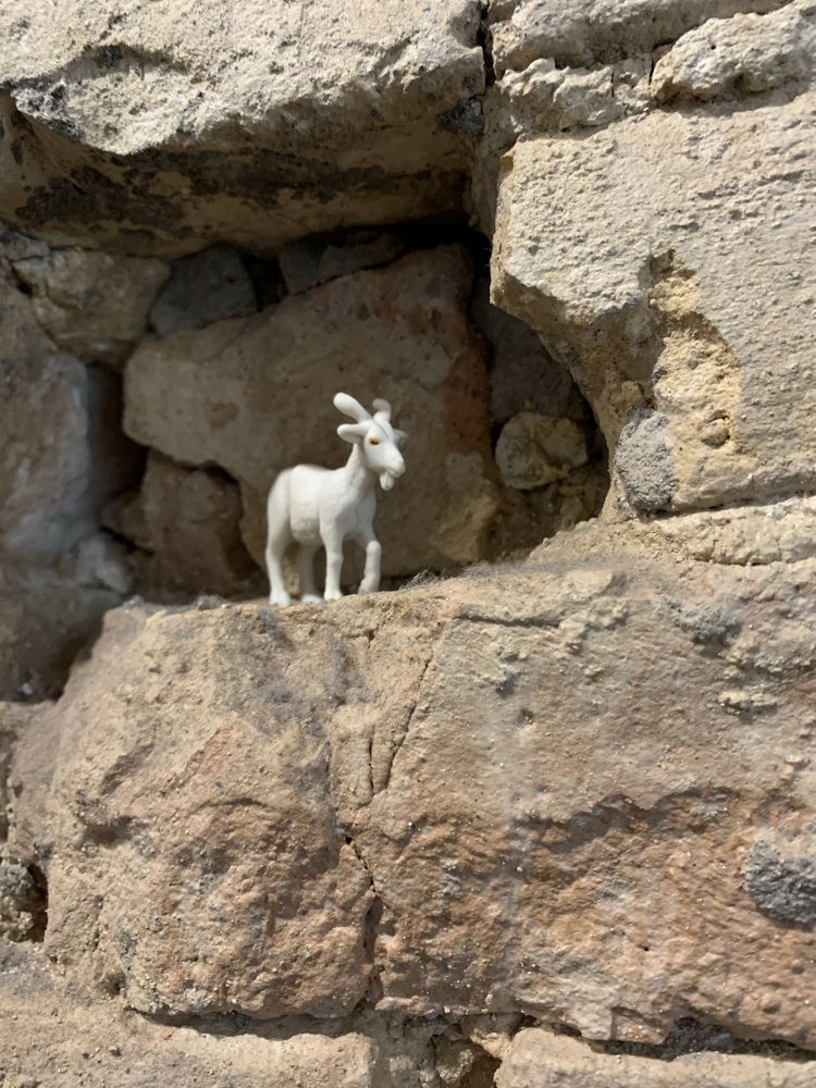 Photograph by Игорь Ребров