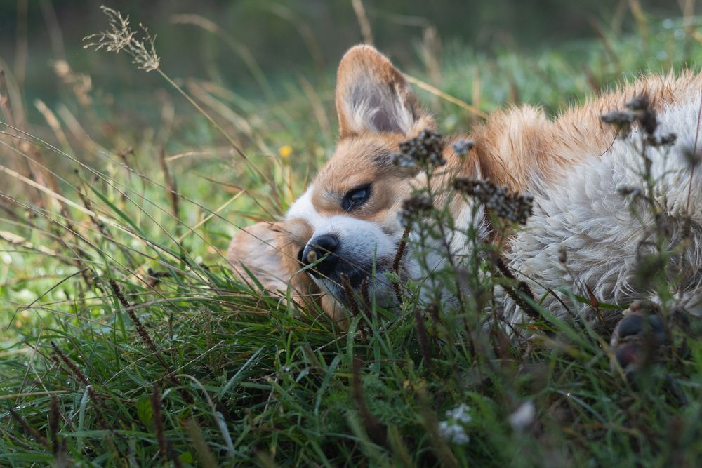 Фотография автора Елена Попова