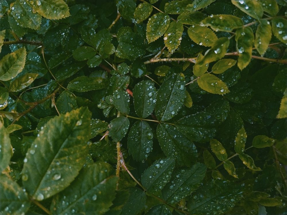 Photograph by Анастасия Юрьева