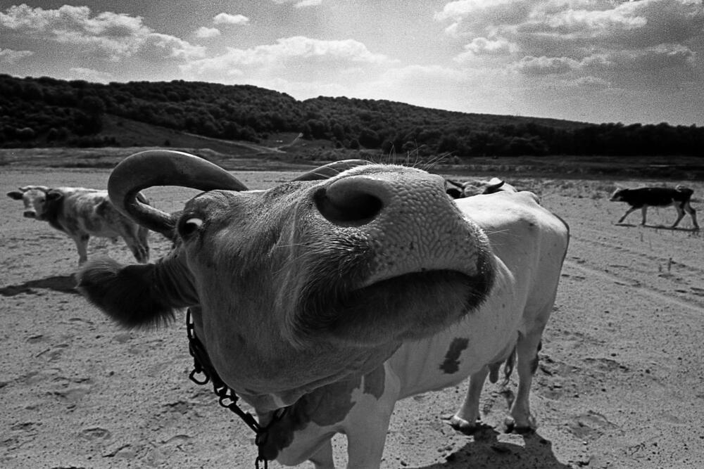 Страшный МУ