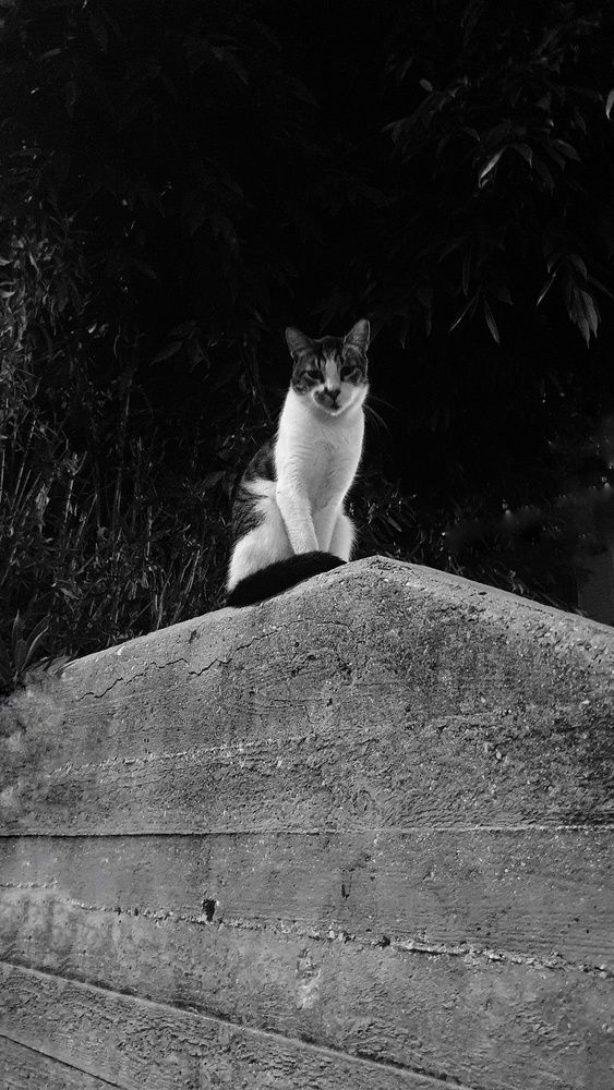 Фотография автора Марина