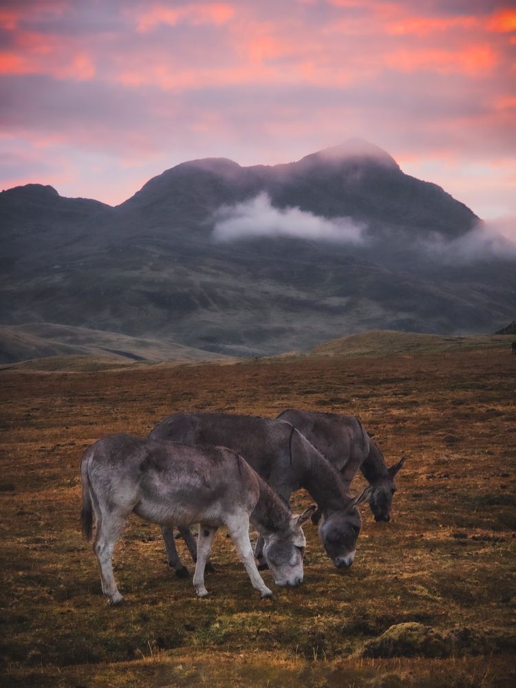 Photograph by Evgeny Pochaev