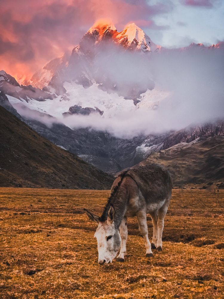 Photograph by Evgeny Pochaev