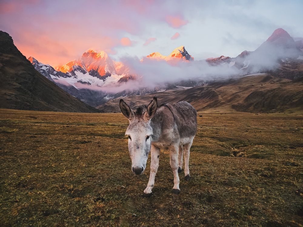 Photograph by Evgeny Pochaev